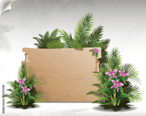 tropical background