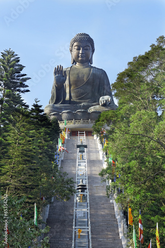 Photography Giant Buddha Statue in Tian Tan