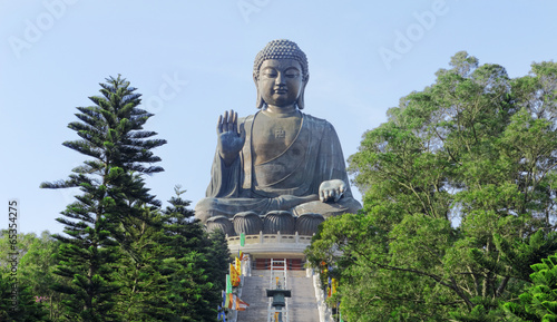 Photography Giant Buddha Statue in Tian Tan