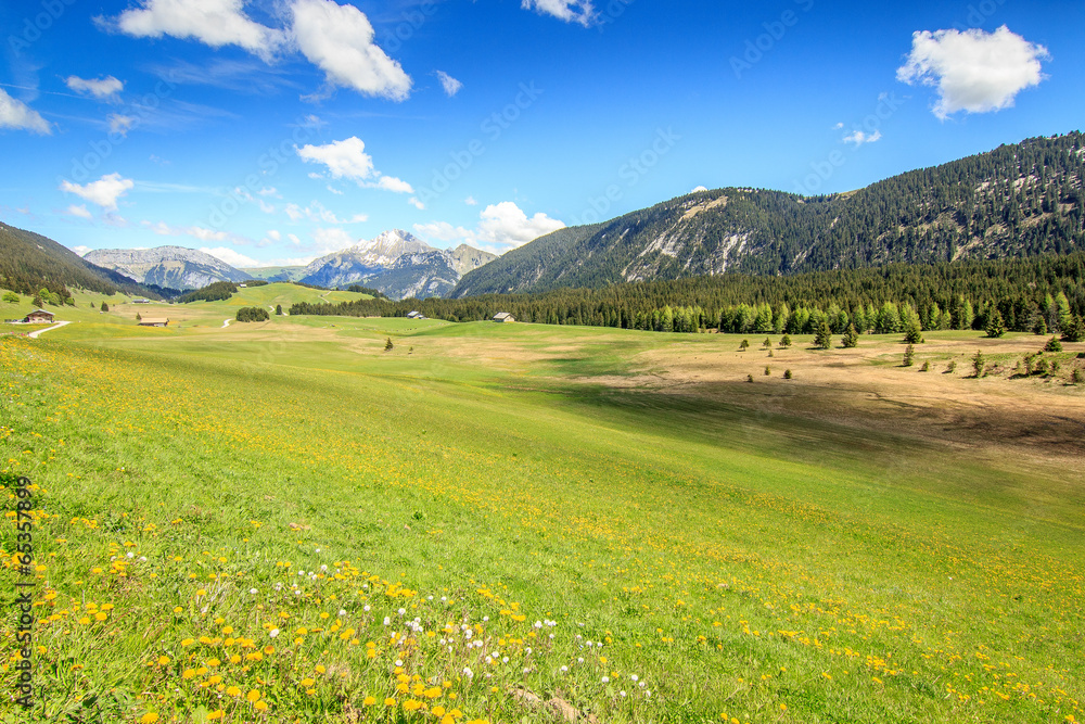 Plateau des Glières