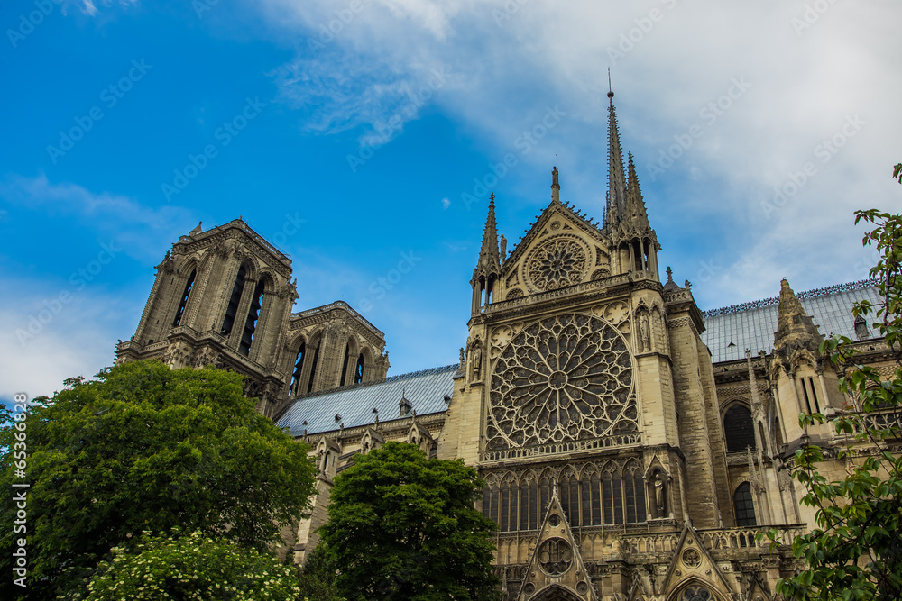 Obraz premium Norte Dame Cathedral de Paris. France