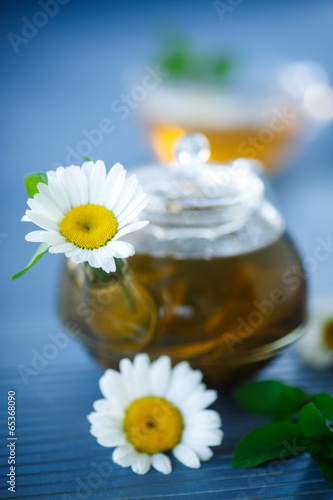 chamomile tea © Peredniankina