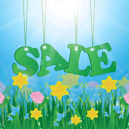 Meadow with colorful flowers and green grass on a background of