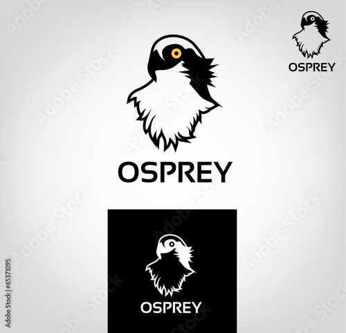 Osprey Vector