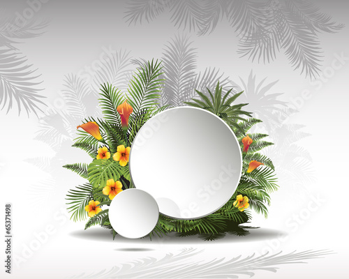 tropical background