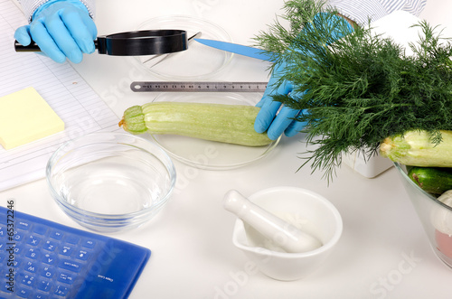 Zucchini carefully inspected in phytocontrol laboratory photo