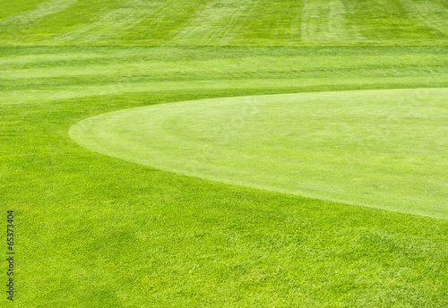 golf course. green grass field background