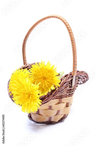 Yellow flowers of dandelion in wicker basket