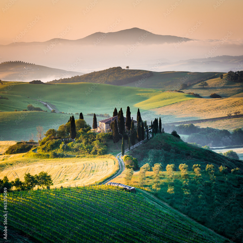 Fototapeta Rano w Toskanii, krajobraz i wzgórza