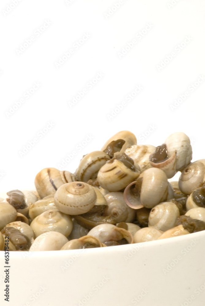 Bowl of snails in garlic, typical plate of Spain and France Bowl of snails in garlic, typical plate of Spain and France