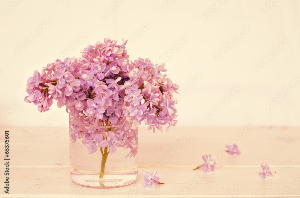 Obraz premium lilac