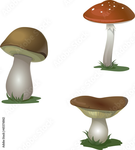 Mushrooms