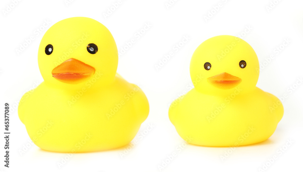 Yellow Rubber Ducks on White background Yellow Rubber Ducks on White background
