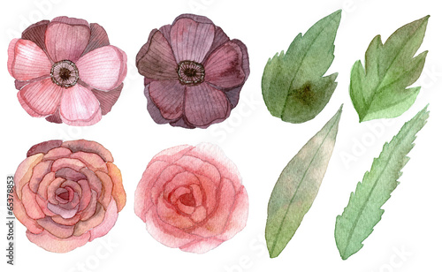 Set of flowers and leaves