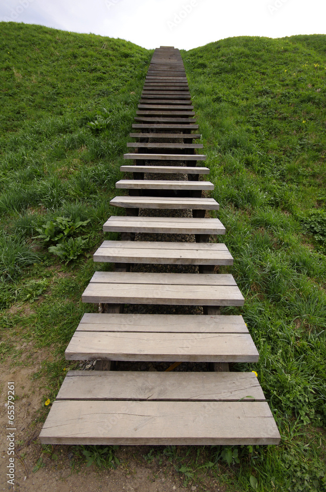 The wooden ladder is located a hill slope