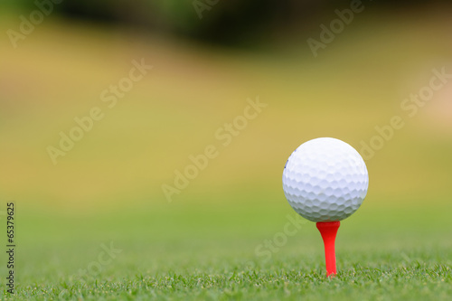Golf ball on tee in front of driver on a gold course