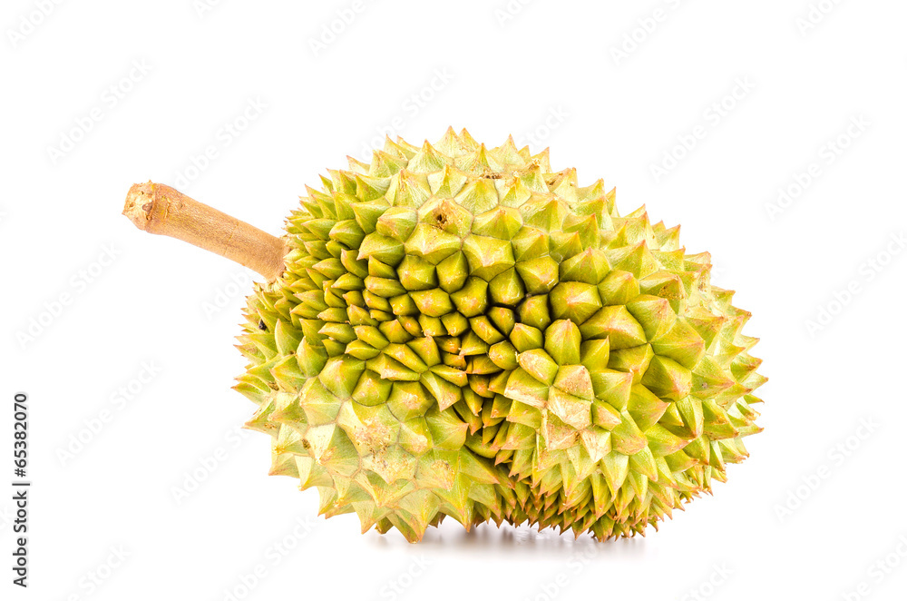 Durian fruit isolated white background Durian fruit isolated white background