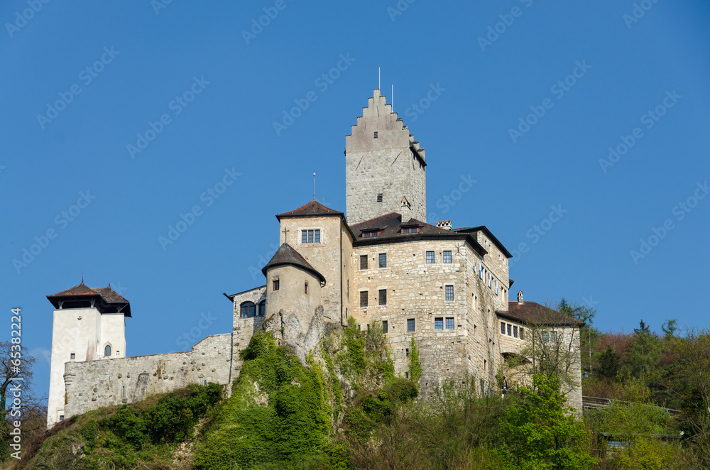 Kipfenberg Burg 2