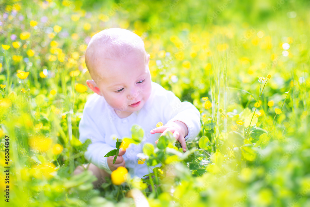 Baby boy playing in the garden Baby boy playing in the garden