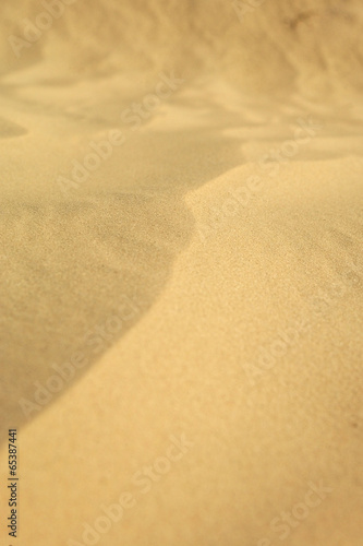 Dunes de sable clair du désert tunisien