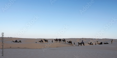 Caravane de chameaux dans le désert tunisien