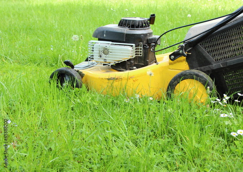 Lawn mover cutting high grass in garden