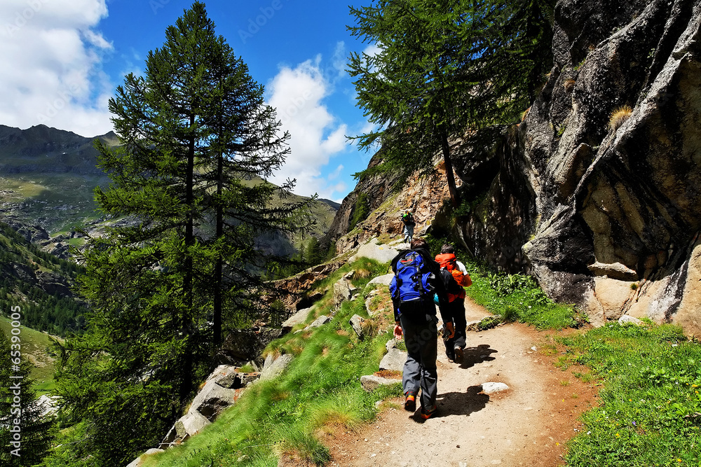 Obraz premium Alpine lake in Gran Paradiso National Park, Italy