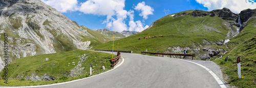 The Alps