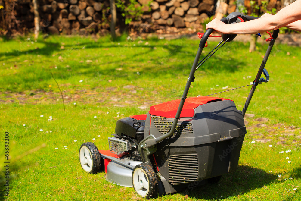 Fototapeta premium Gardening. Mowing green lawn with red lawnmower