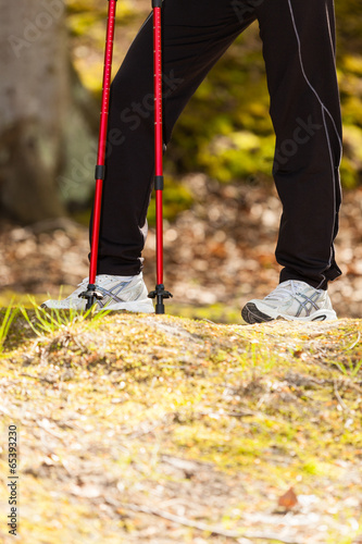 Nordic walking. Female legs hiking in forest or park.