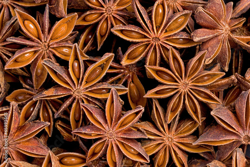 Foto Star Anise (Illicium verum)