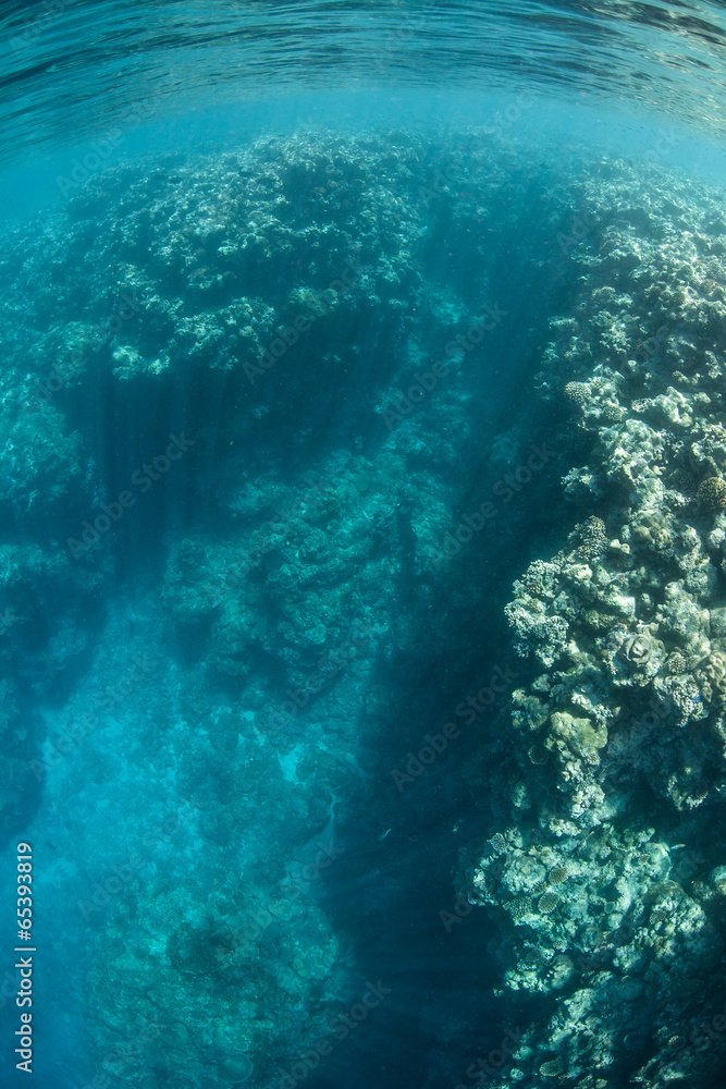 Shallow Reef Channel 2 Shallow Reef Channel 2