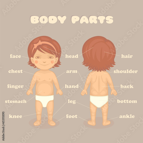 baby girl body parts, vector cartoon illustration for kids