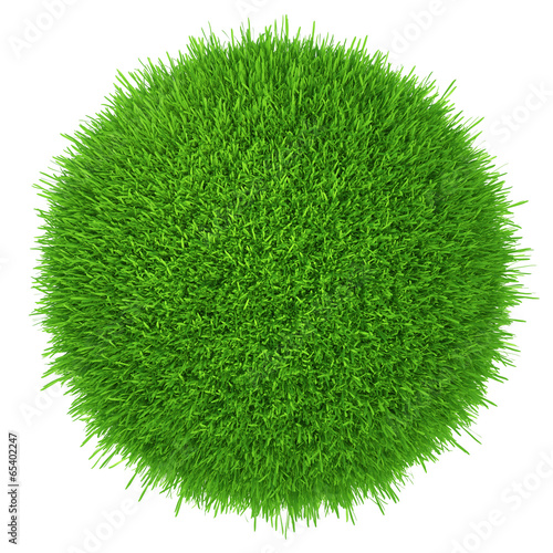 a piece of green lawn