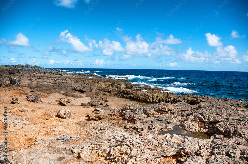 Wild Coastline of Aruba in the Caribbean