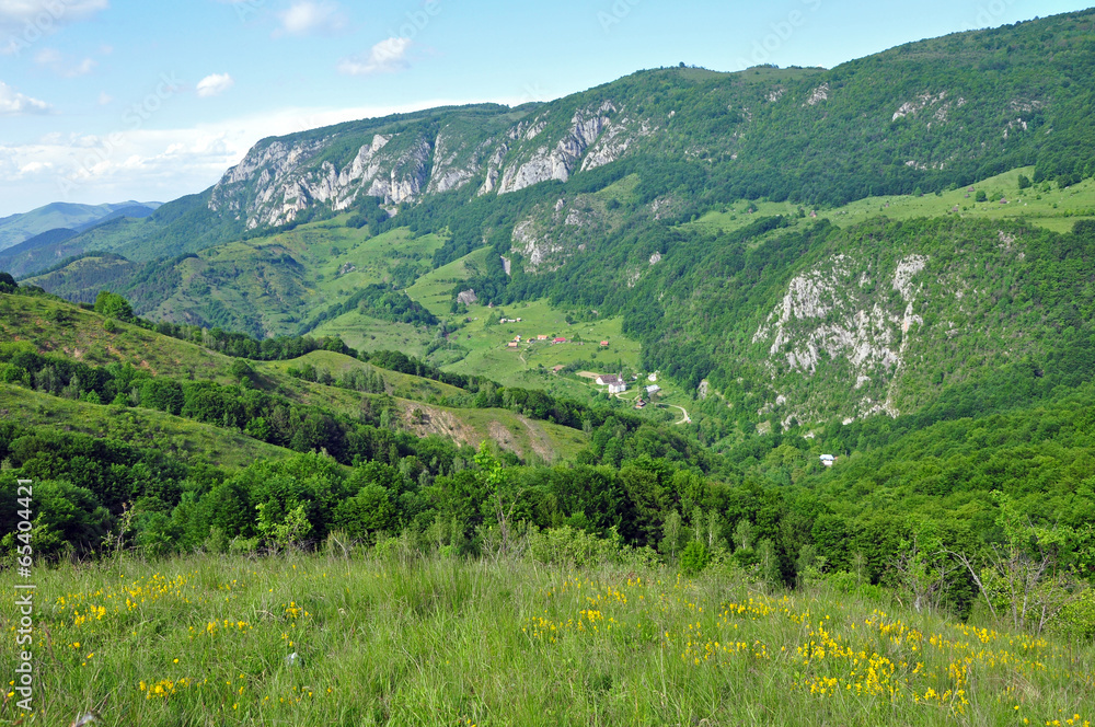 Mountain Mountain
