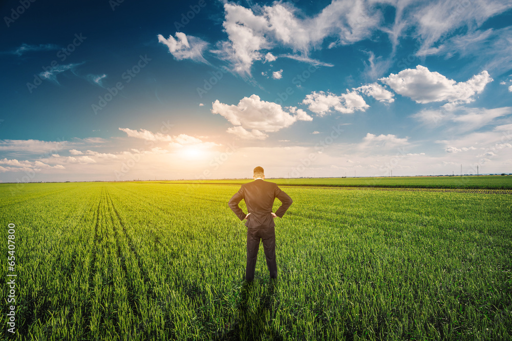 Fototapeta premium Businessman in a wheat field