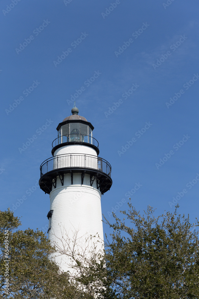 Black and White Lighthouse Rising from Greenery Black and White Lighthouse Rising from Greenery