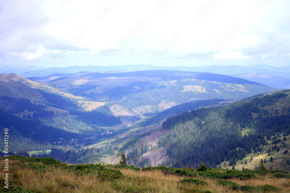 Fototapeta premium Carpathian mountains, Ukraine.