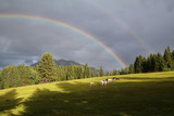rainbow over mountains and alpine pasture