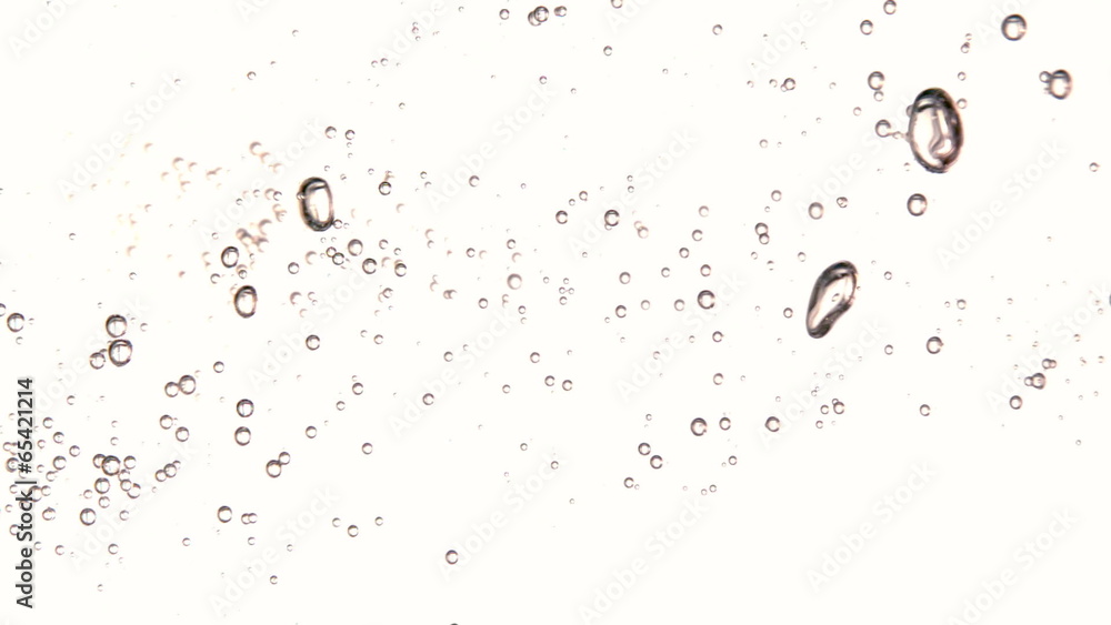 Bubbles floating in water on white background