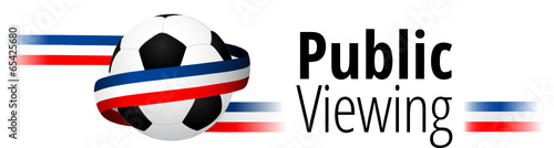Public Viewing