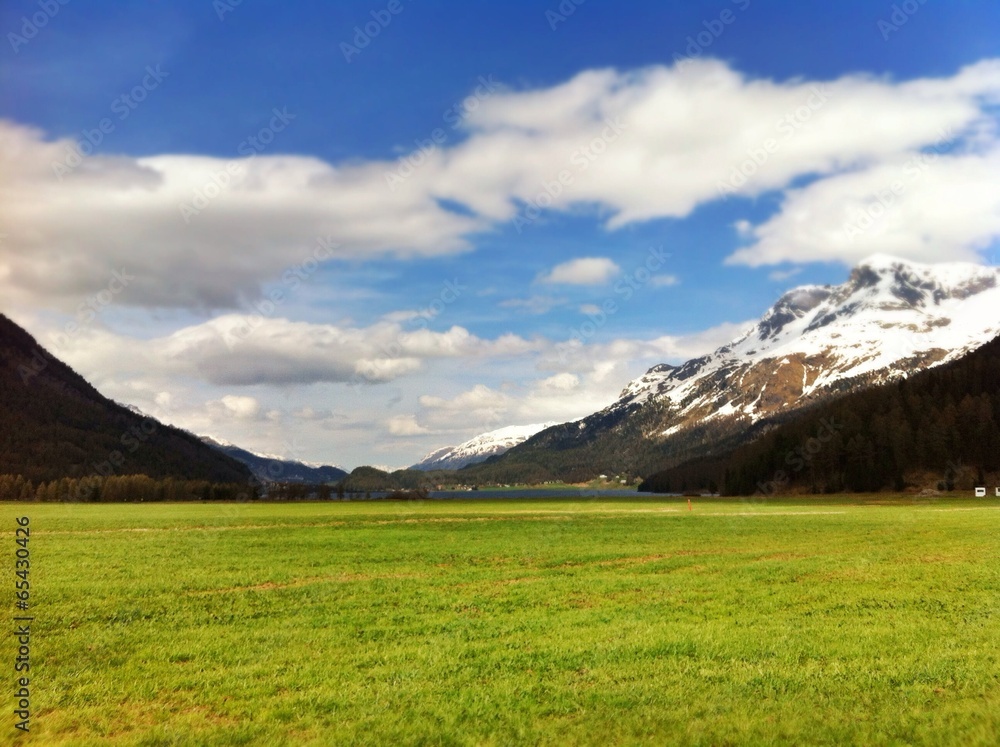 alpine valley green meadow with mountain peaks view