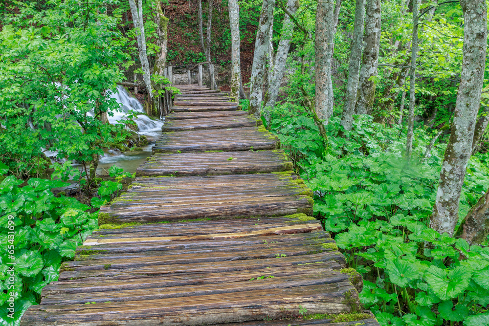 Wood path in the Plitvice Lake