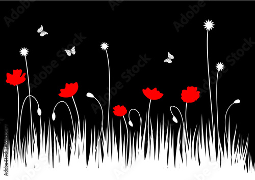 Fototapeta Naklejka Na Ścianę i Meble -  Red poppies floral background