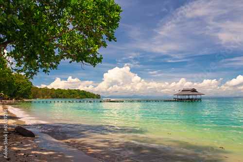 Εκτύπωση καμβά Borneo