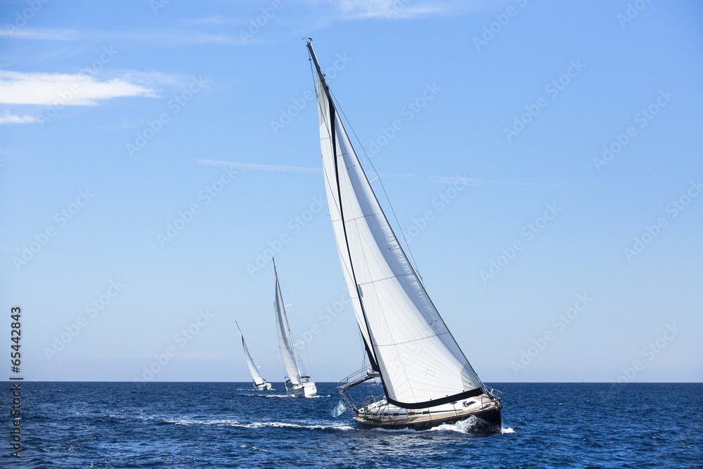 Boats in sailing regatta. Luxury yachts.