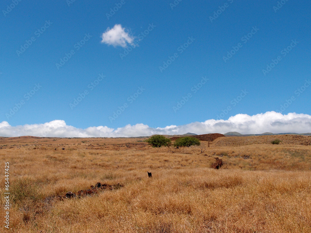 Puʻukoholā Heiau and surrounding dry grass field woth mountain