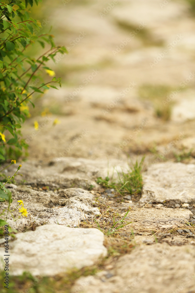 Stone trail , close-up