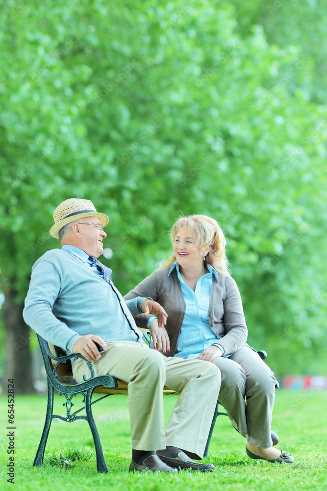 Mature couple having a conversation in park Mature couple having a conversation in park
